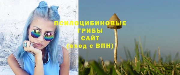 ГАЛЛЮЦИНОГЕННЫЕ ГРИБЫ Абдулино
