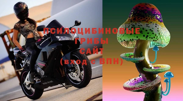 ГАЛЛЮЦИНОГЕННЫЕ ГРИБЫ Абдулино